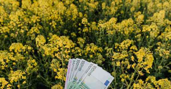 天龙八部手游隐藏任务