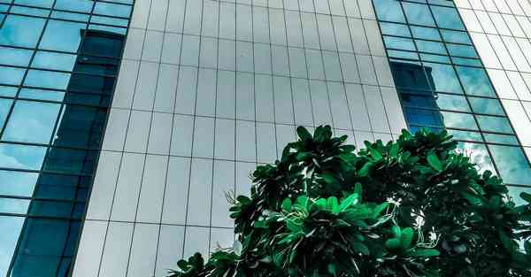 天龙八部指的是哪八部