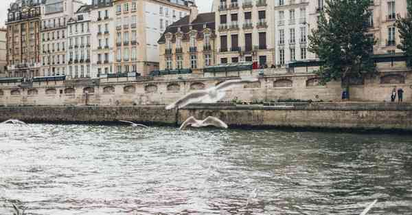 天龙八部私服英豪天龙