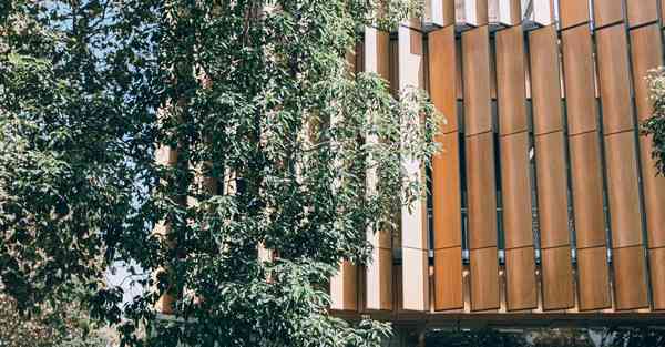 侏罗纪天龙八部私服