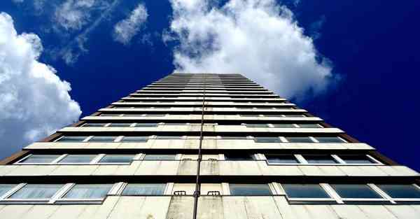 天龙八部宝宝成长率查询器