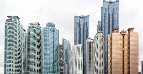 天龙八部珍兽成长率查询器