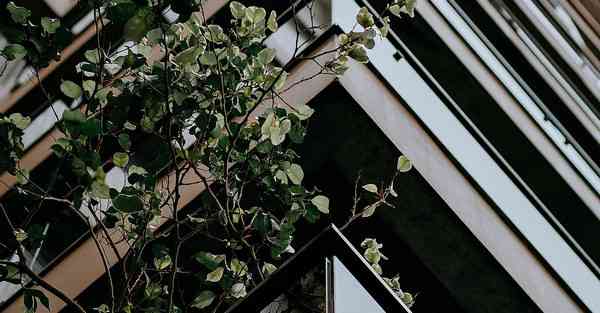 私服天龙八部坐骑